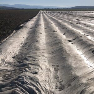 velka plachta na pole