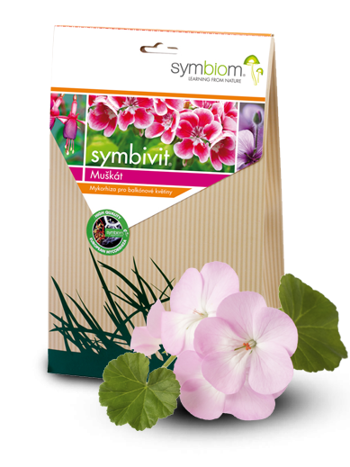 Symbivit Muškát - DOPRODEJ