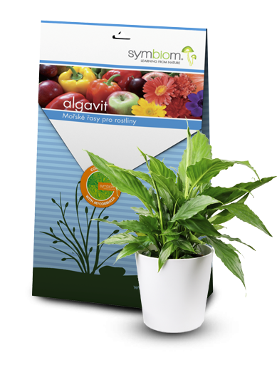 Algavit - ekologický stimulátor Algavit - ekologický stimulátor