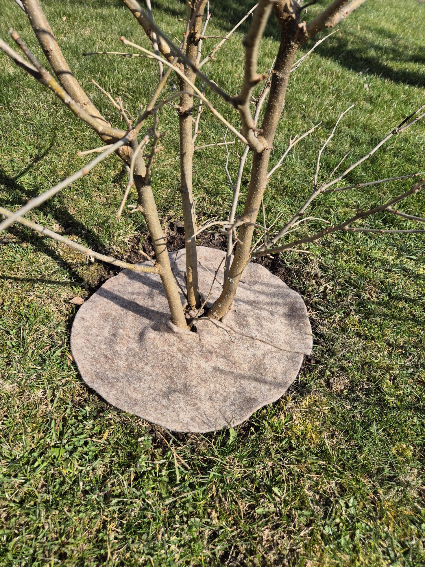 VLNENÝ kruh, ochrana pred burinou 350 g/m²  - 2 ks v balení