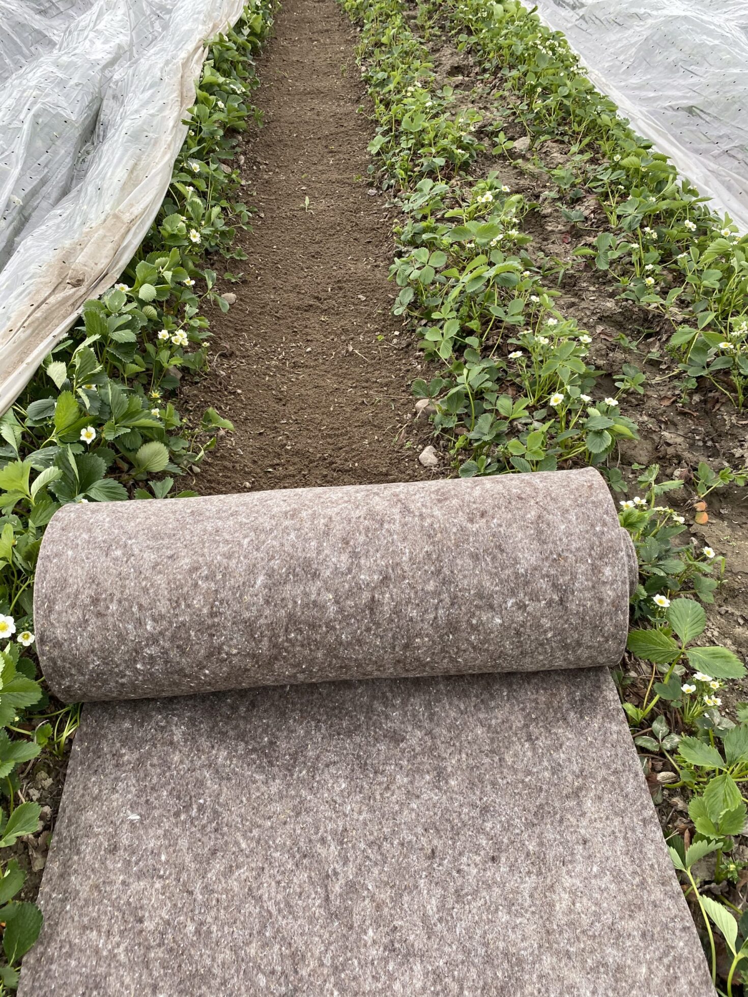 Netkaná textília z VLNENÉHO vlákna 350 g/m2