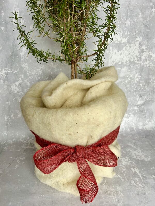 ochranný pás z vlny